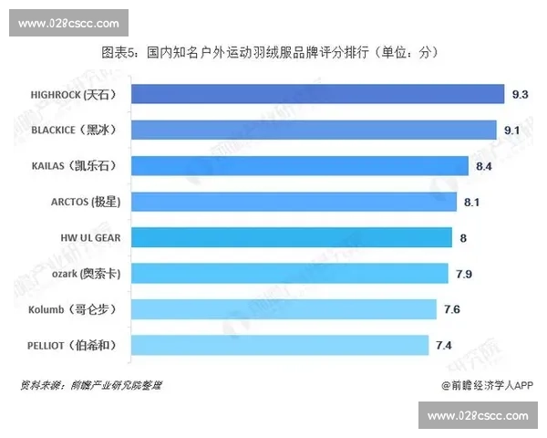 松达尔VS的技术创新与发展趋势探析：从市场需求到未来应用前景